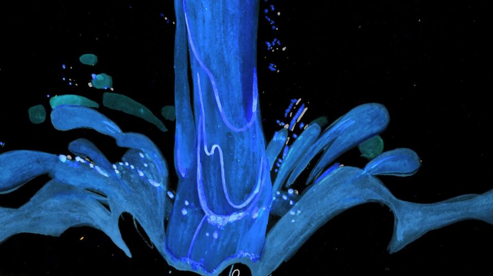 Image associée à HOLD ME TIGHT