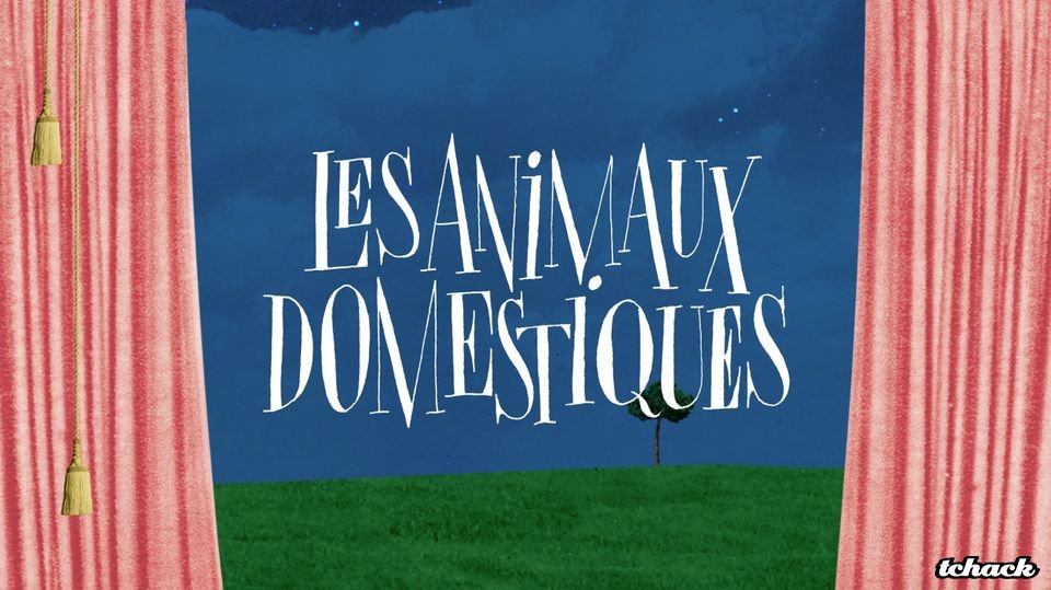 LES ANIMAUX DOMESTIQUES miniature