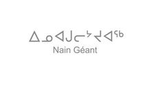 nain_geant_teaser_16_01_2014_1mn20_def_h264_960.mp4